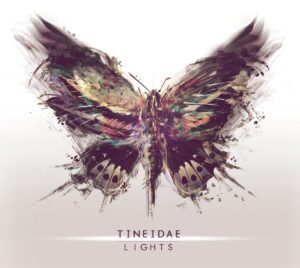 New releases from Tineidae and r.roo
