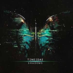 TA085 | Tineidae: Shadows
