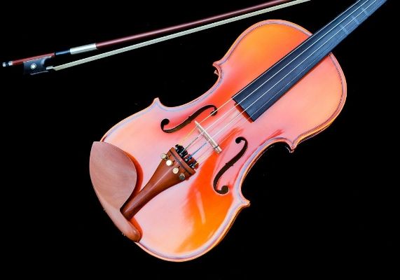 stentor violin review