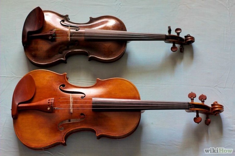 viola and violin 768x512 1