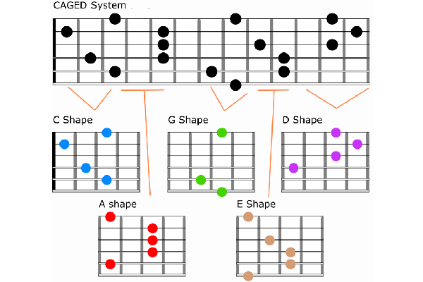 CAGED Guitar Theory System