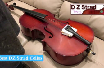 Best D Z Strad Cellos