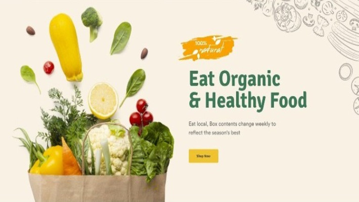 Best Theme Organic Food Store