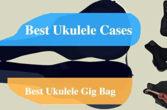 Best Ukulele Cases Bags