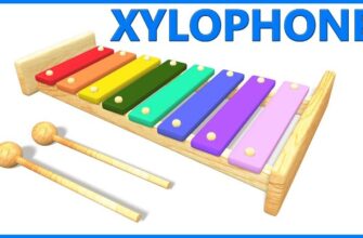Best Xylophones for Kids